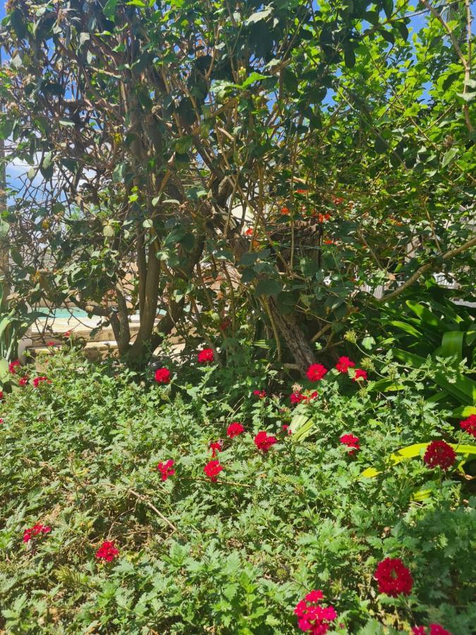 Hostel Iguabella - Rj Iguaba Grande Dış mekan fotoğraf